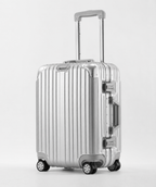 Champagne Pink Check-in L Suitcase